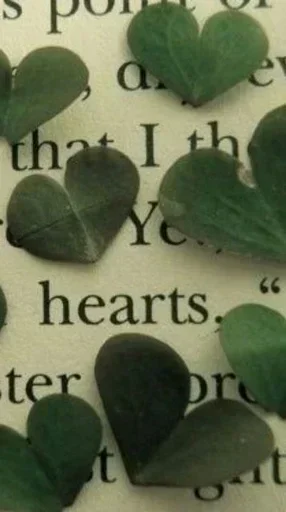 Sticker BVKTyinUNrcmCFXJU_by_stickers_stealer_bot - 1