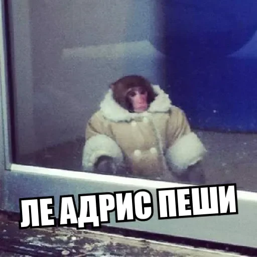 Стикер BVpower - 1