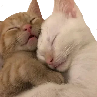 Sticker @sticksbb 🩷 <- канал со стиками - 9