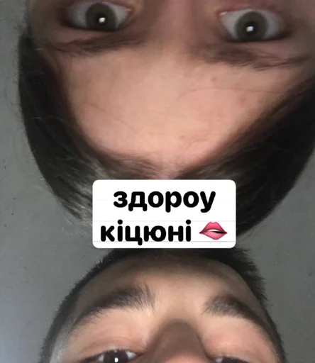 Мой стикерпак @moyi_stikery_bot - 