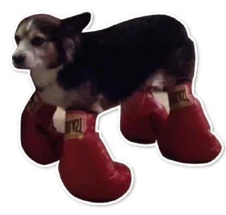 Sticker Создай свои стикеры - @sozdsti_bot - 4