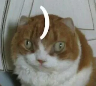 Sticker Создай свои стикеры - @sozdsti_bot - 7