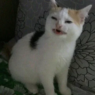 Sticker Создай свои стикеры - @sozdsti_bot - 0