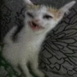 Sticker Создай свои стикеры - @sozdsti_bot - 10