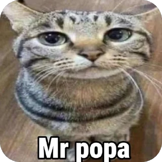 Стикер БЫСТРА РАЖАТЬ - 8