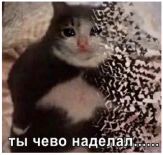 Стикер Больше стикеров: @sticerru - 3