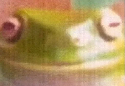 Тупіе сохроньонки - 