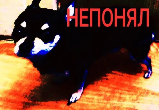 Sticker Тупіе сохроньонки - 0