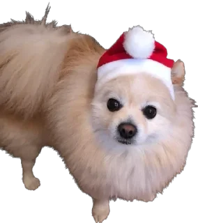 Sticker Megapack - 3