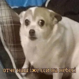 Стикер Бабасрака: на чілє на раслабонє by @Che_Hata - 1