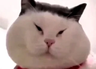 Стикер Бабасрака: на чілє на раслабонє by @Che_Hata - 9