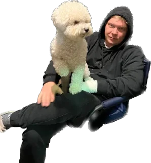 Sticker Бабий дольч - 4