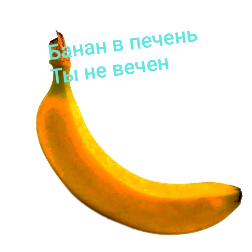 banana fruit saba banana