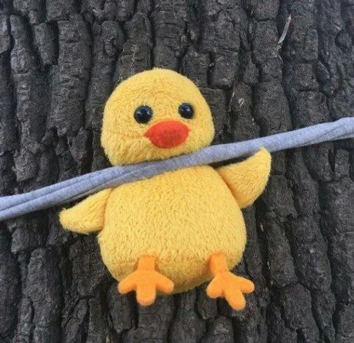 игрушка мягкая игрушка на открытом воздухе