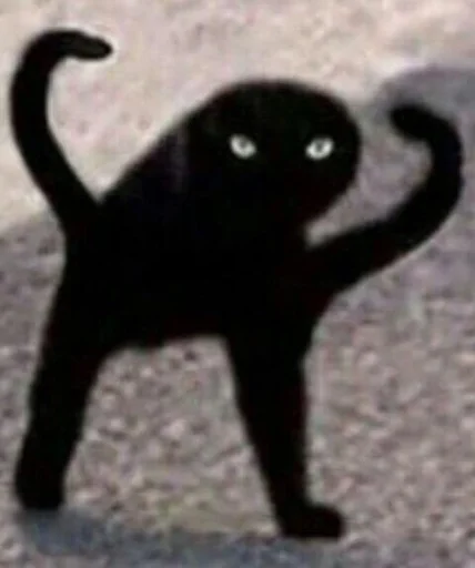 кошка млекопитающее животное