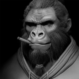 Sticker BABUIN2008 - 11