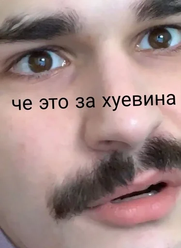 text human face eyebrow