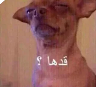 Стикер ﺧوﻟﮪ ♡ . - 3