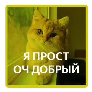 Sticker Бэк-стикеры - 5