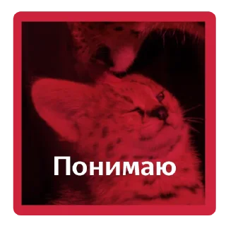 Sticker Бэк-стикеры - 11