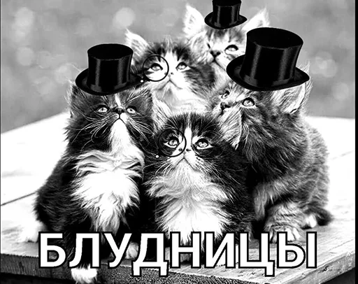 Стикер BadGirlCat - 1