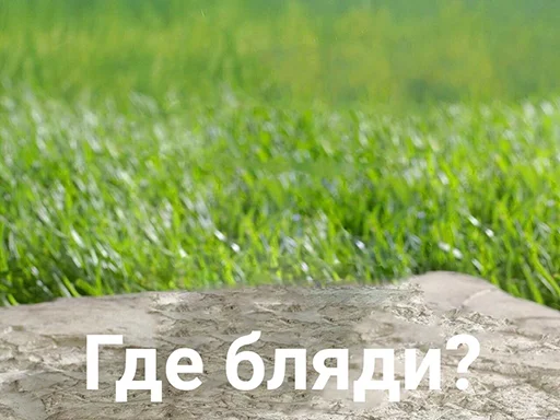 Стикер BadGirlCat - 1