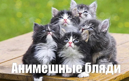 Sticker BadGirlCat - 1