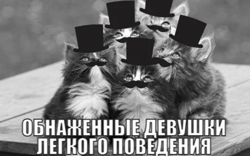 Стикер BadGirlCat - 1