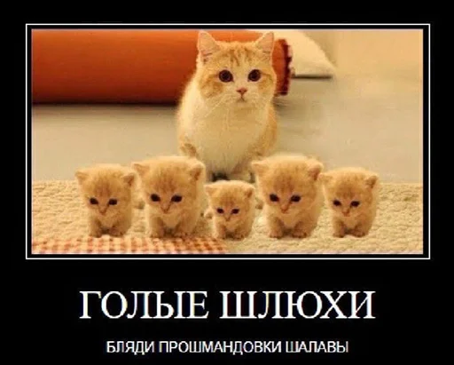 Стикер BadGirlCat - 1