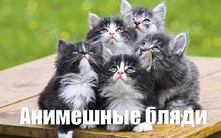 Sticker Обнаженные девушки легкого поведения - 6