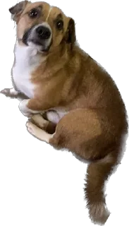 Стикер Булочка - 3