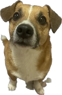 Стикер Булочка - 6