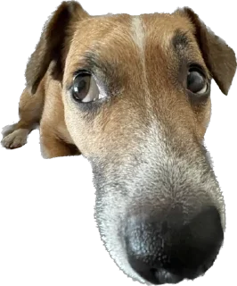 Стикер Булочка - 7