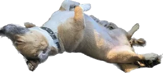 Стикер Булочка - 5