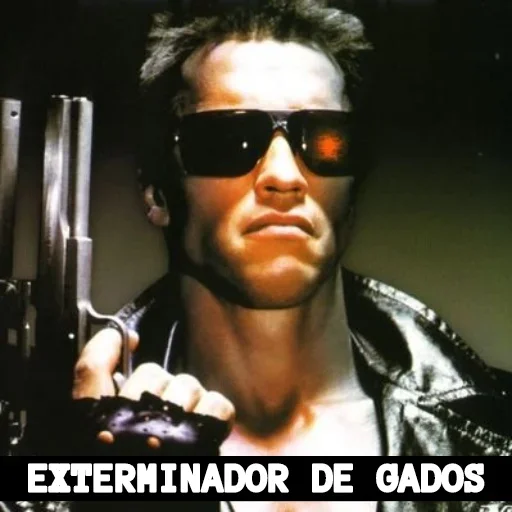 Uns bagulhos doidos @lbrabo - 