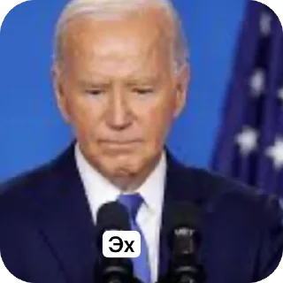 Стикер Байден - 7
