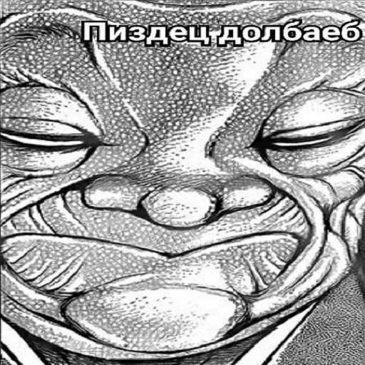 sketch drawing illustration