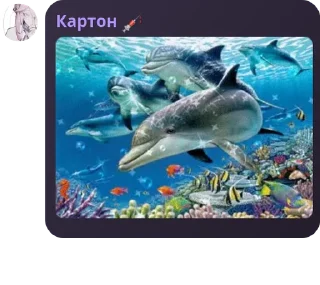 Sticker Бан хаус (гей парад) - 2