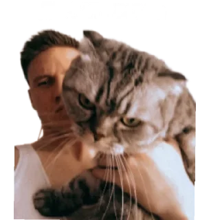 Sticker Банда - 3