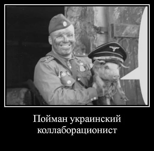 СМС человеческое лицо одежда