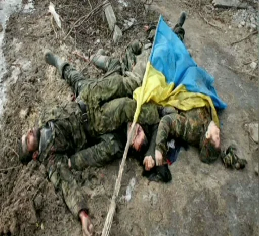 на открытом воздухе земля одежда