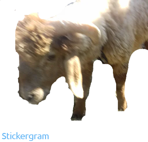 Бараш🐏(@muzika_dlya_mashina_877) - 