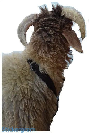 Sticker BarashkiBarash - 1