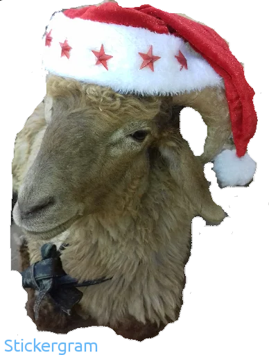 Sticker BarashkiBarash - 1