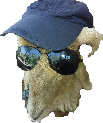 Sticker BarashkiBarash - 1