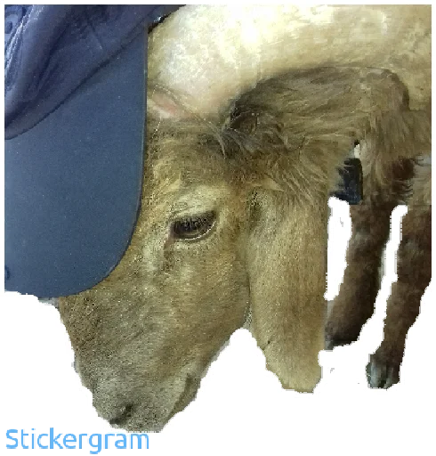 Sticker BarashkiBarash - 1