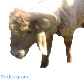 Sticker Бараш🐏(@muzika_dlya_mashina_877) - 9