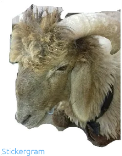 Sticker Бараш🐏(@muzika_dlya_mashina_877) - 7