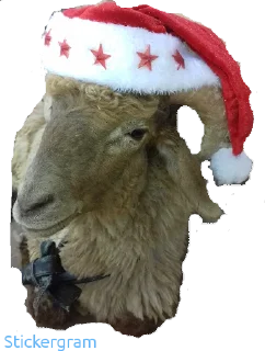 Sticker Бараш🐏(@muzika_dlya_mashina_877) - 5