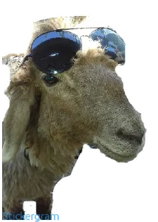 Sticker Бараш🐏(@muzika_dlya_mashina_877) - 11